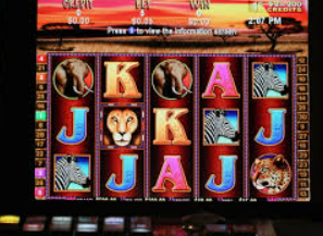 熊猫体育下载手机版